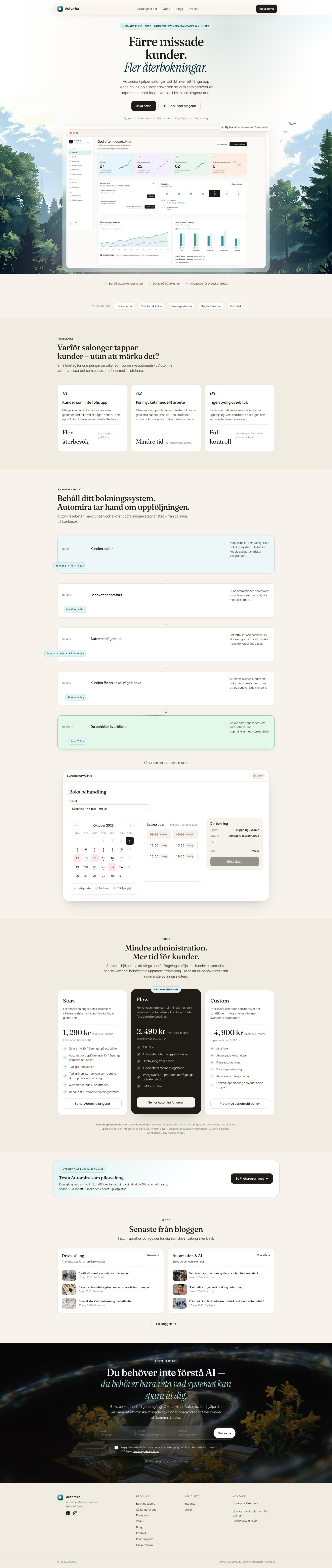 Preview of Automira Website